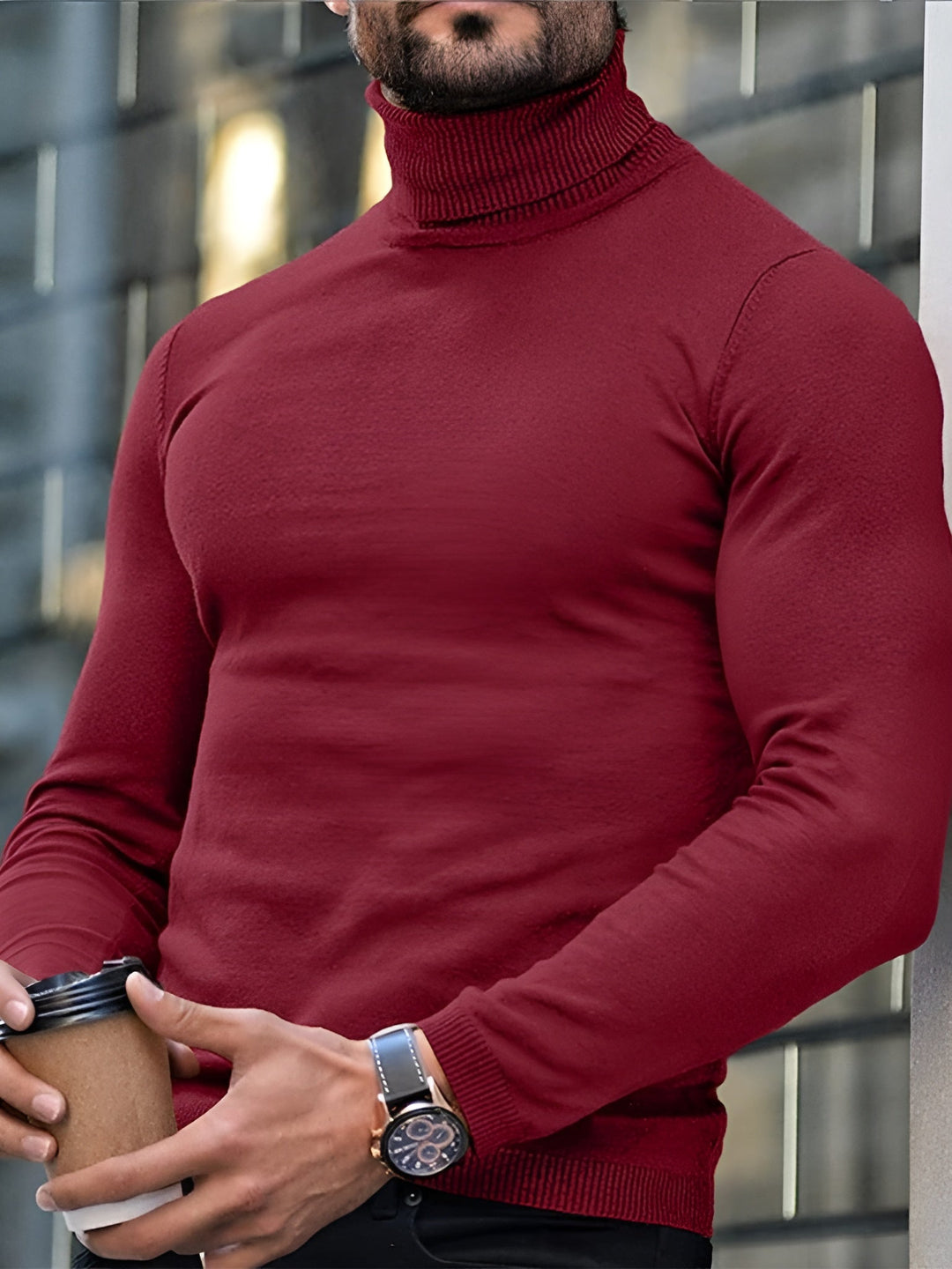 Alessandro - Warm Turtleneck Sweater